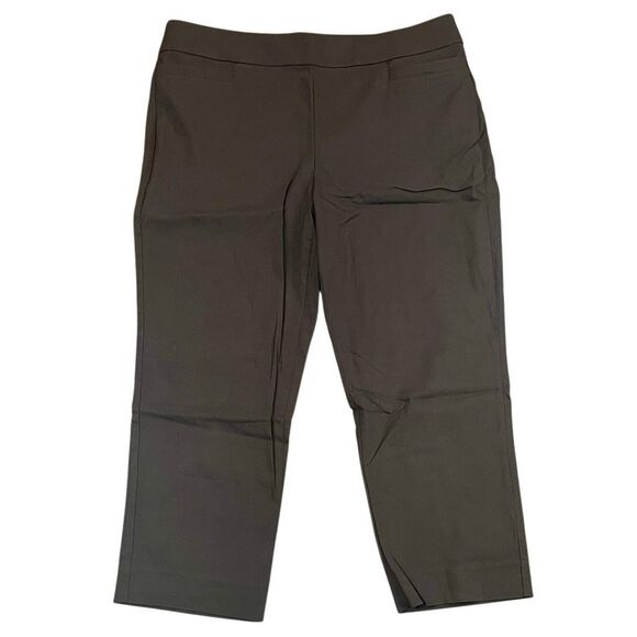 Kim Rogers Short Brown Pull-On Pants 16S - Picture 1 of 8